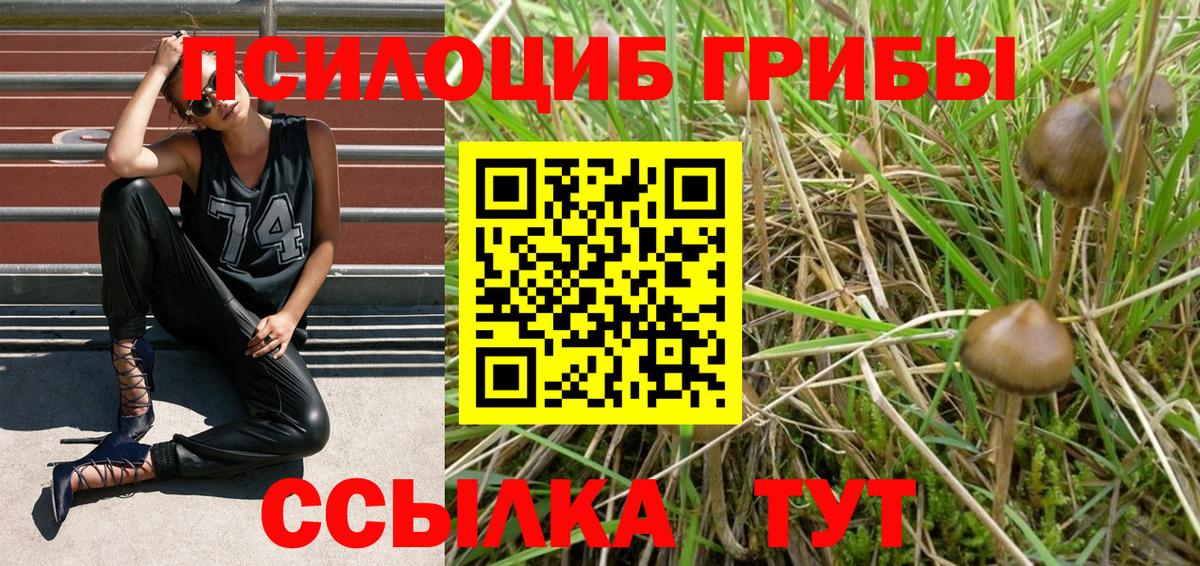 Углич  Галлюциногенные грибы мухоморы  Галлюциногенные грибы Magic Shrooms  Вход с VPN 