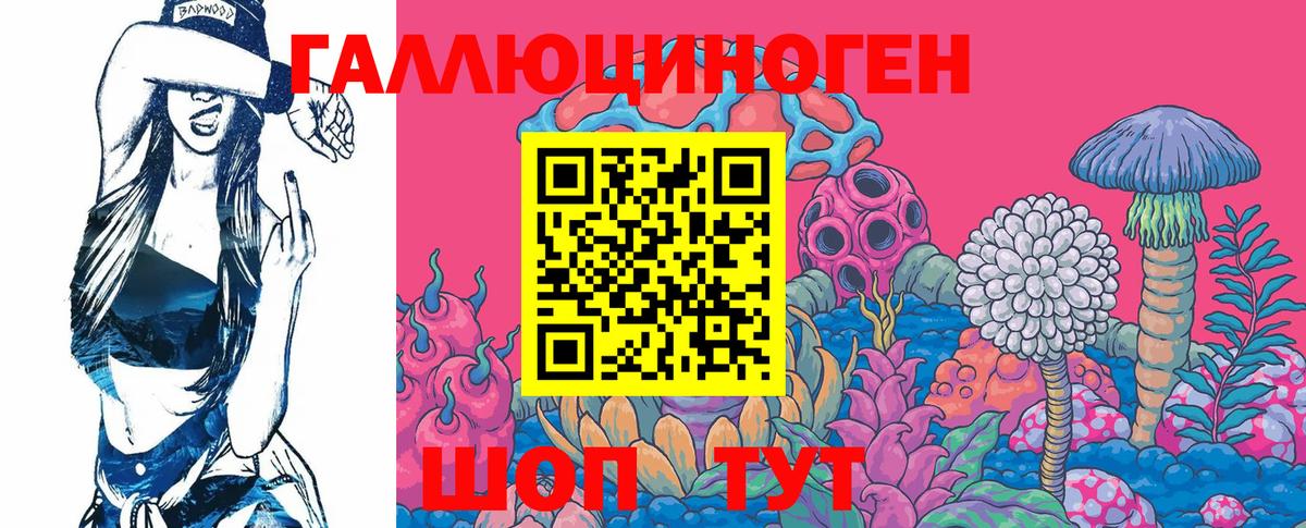 Псилоцибиновые грибы Psilocybe Углич